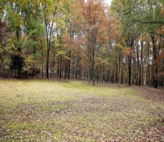 Lots And Land For Sale