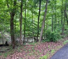 Lots And Land For Sale