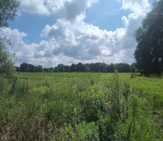 Lots And Land For Sale