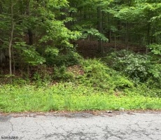 Lots And Land For Sale
