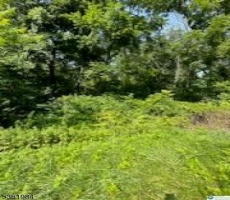 Lots And Land For Sale