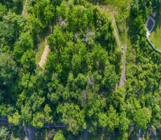 Lots And Land For Sale