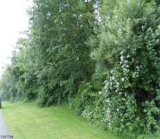 Lots And Land For Sale