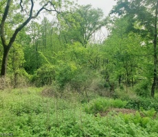 Lots And Land For Sale