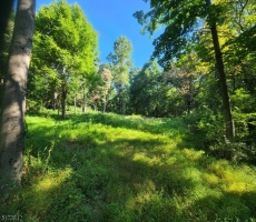 Lots And Land For Sale