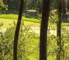 Lots And Land For Sale