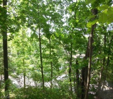 Lots And Land For Sale