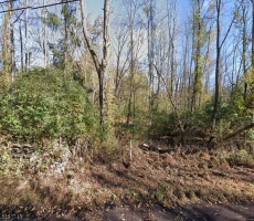 Lots And Land For Sale