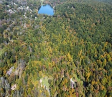 Lots And Land For Sale