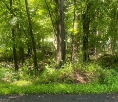 Lots And Land For Sale
