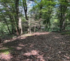 Lots And Land For Sale