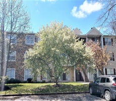 Rental For Sale