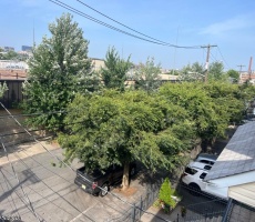 Multi-Family For Sale