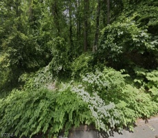 Lots And Land For Sale