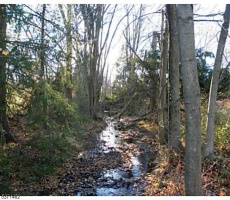 Lots And Land For Sale