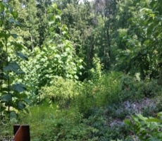 Lots And Land For Sale