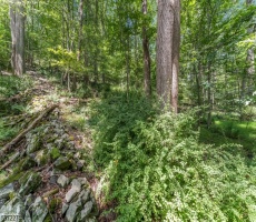 Lots And Land For Sale