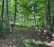 Lots And Land For Sale