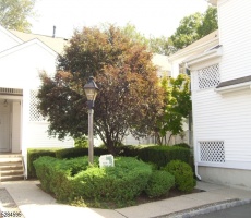 Rental For Sale