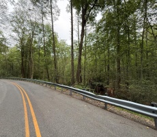 Lots And Land For Sale