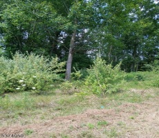Lots And Land For Sale