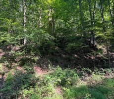 Lots And Land For Sale