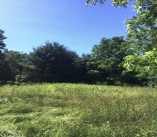 Lots And Land For Sale