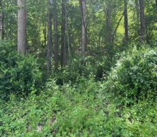 Lots And Land For Sale