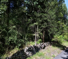 Lots And Land For Sale