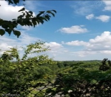 Lots And Land For Sale