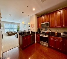 Rental For Sale