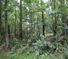 Lots And Land For Sale