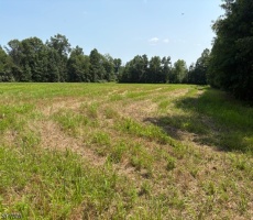 Lots And Land For Sale