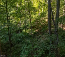 Lots And Land For Sale