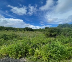 Lots And Land For Sale