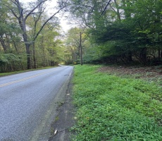 Lots And Land For Sale