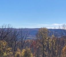 Lots And Land For Sale