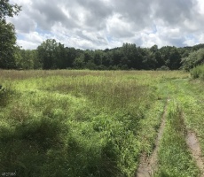 Lots And Land For Sale