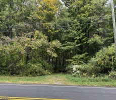 Lots And Land For Sale