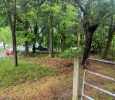 Lots And Land For Sale