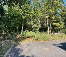 Lots And Land For Sale