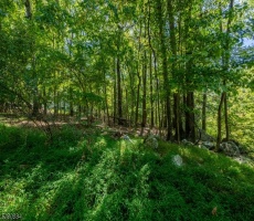 Lots And Land For Sale