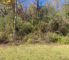 Lots And Land For Sale