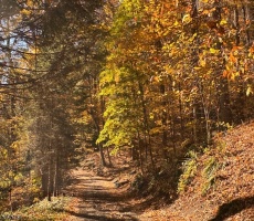 Lots And Land For Sale