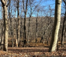 Lots And Land For Sale