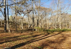 0 Martin St, Andover Twp., *, ,Lots And Land,For Sale,Martin St,5294580 0 Martin St, Andover Twp., *, ,Lots And Land,For Sale,Martin St,5294580