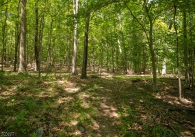 99 Taylortown Rd, Montville Twp., ,Lots And Land,For Sale,Taylortown Rd,5239971