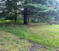 Commercial For Sale
