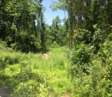 Lots And Land For Sale