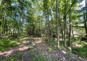 29 Elm Ave, Warren Twp., *, ,Lots And Land,For Sale,Elm Ave,5235504